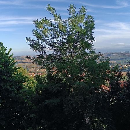 Appartamenti Dei Conti Озимо Экстерьер фото
